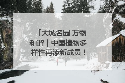 大城名园 万物和谐｜中国植物多样性再添新成员！它只在西藏墨脱