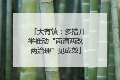 大有镇：多措并举推动“两清两改两治理”见成效