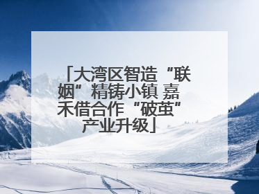 大湾区智造“联姻”精铸小镇 嘉禾借合作“破茧”产业升级