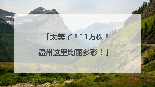 太美了！11万株！福州这里绚丽多彩！