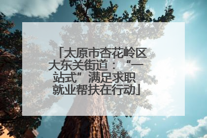 太原市杏花岭区大东关街道：“一站式”满足求职 就业帮扶在行动