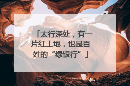 太行深处，有一片红土地，也是百姓的“绿银行”