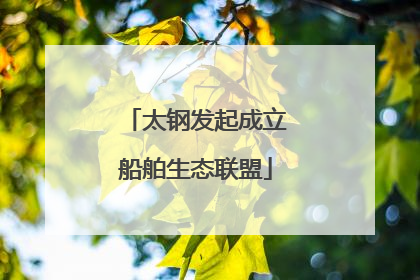 太钢发起成立船舶生态联盟
