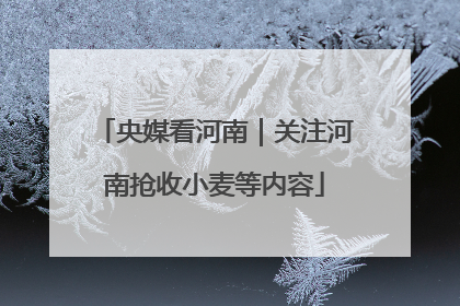 央媒看河南｜关注河南抢收小麦等内容