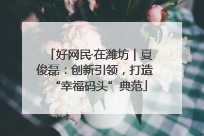 好网民·在潍坊｜夏俊磊：创新引领，打造“幸福码头”典范