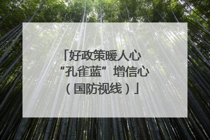 好政策暖人心 “孔雀蓝”增信心（国防视线）