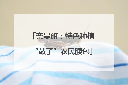 奈曼旗：特色种植“鼓了”农民腰包