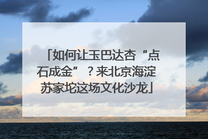 如何让玉巴达杏“点石成金”？来北京海淀苏家坨这场文化沙龙
