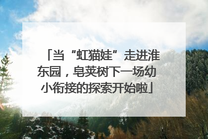 当“虹猫娃”走进淮东园，皂荚树下一场幼小衔接的探索开始啦