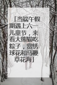 当端午假期遇上六一儿童节，来看大熊猫吃粽子，赏绣球花和马鞭草花海