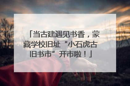 当古建遇见书香，蒙藏学校旧址“小石虎古旧书市”开市啦！