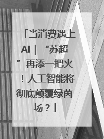 当消费遇上AI｜“苏超”再添一把火！人工智能将彻底颠覆绿茵场？