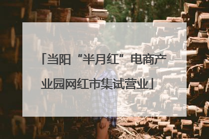 当阳“半月红”电商产业园网红市集试营业