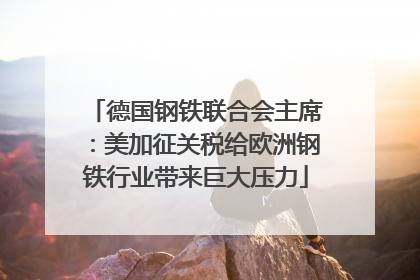 德国钢铁联合会主席：美加征关税给欧洲钢铁行业带来巨大压力