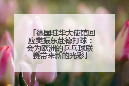 德国驻华大使馆回应樊振东赴德打球：会为欧洲的乒乓球联赛带来新的光彩