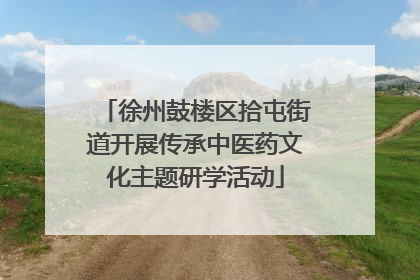 徐州鼓楼区拾屯街道开展传承中医药文化主题研学活动