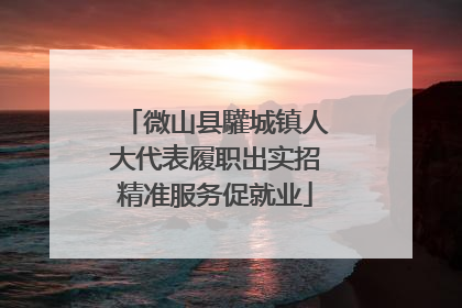 微山县驩城镇人大代表履职出实招精准服务促就业