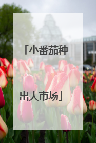 小番茄种出大市场