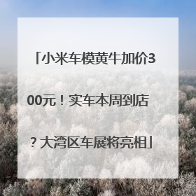 小米车模黄牛加价300元！实车本周到店？大湾区车展将亮相