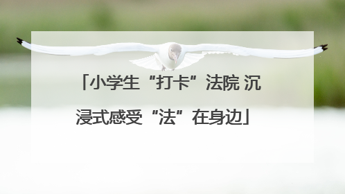 小学生“打卡”法院 沉浸式感受“法”在身边