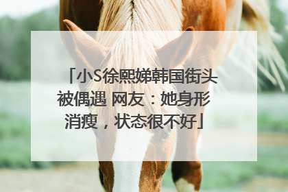 小S徐熙娣韩国街头被偶遇 网友：她身形消瘦，状态很不好