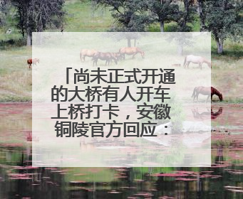 尚未正式开通的大桥有人开车上桥打卡，安徽铜陵官方回应：不服管劝擅自进入，已采取措施