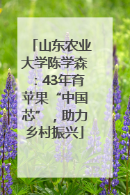 山东农业大学陈学森：43年育苹果“中国芯”，助力乡村振兴