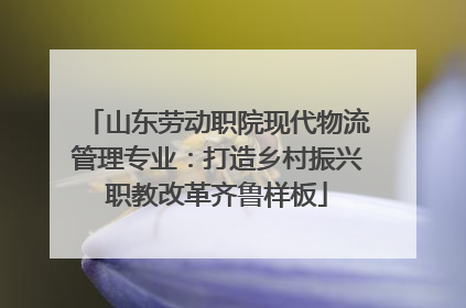 山东劳动职院现代物流管理专业：打造乡村振兴职教改革齐鲁样板