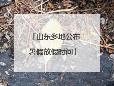 山东多地公布暑假放假时间