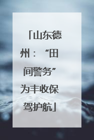 山东德州：“田间警务”为丰收保驾护航