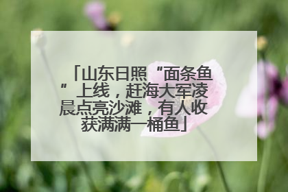 山东日照“面条鱼”上线，赶海大军凌晨点亮沙滩，有人收获满满一桶鱼