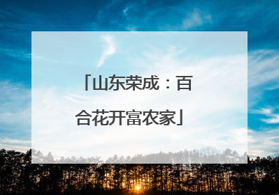 山东荣成：百合花开富农家