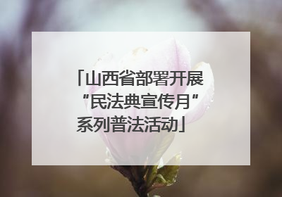 山西省部署开展“民法典宣传月”系列普法活动
