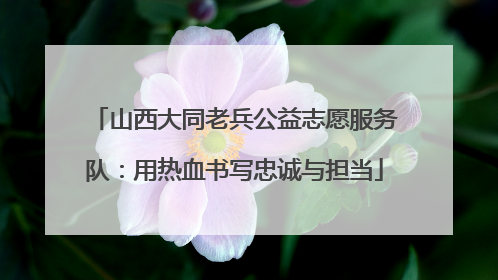 山西大同老兵公益志愿服务队：用热血书写忠诚与担当