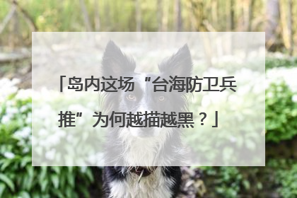 岛内这场“台海防卫兵推”为何越描越黑？