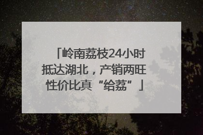岭南荔枝24小时抵达湖北，产销两旺性价比真“给荔”