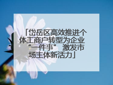 岱岳区高效推进个体工商户转型为企业“一件事” 激发市场主体新活力