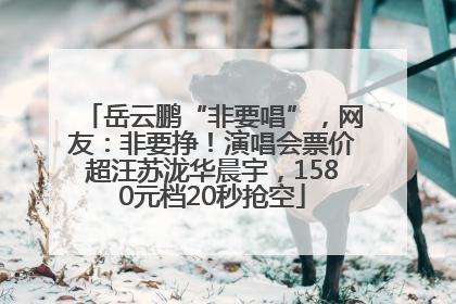 岳云鹏“非要唱”，网友：非要挣！演唱会票价超汪苏泷华晨宇，1580元档20秒抢空