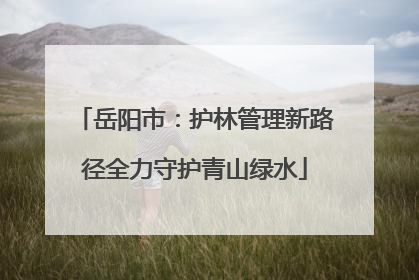 岳阳市：护林管理新路径全力守护青山绿水