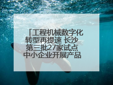 工程机械数字化转型再提速 长沙第三批27家试点中小企业开展产品供需对接
