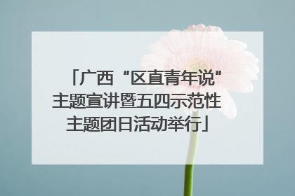 广西“区直青年说”主题宣讲暨五四示范性主题团日活动举行