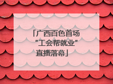 广西百色首场“工会帮就业”直播落幕