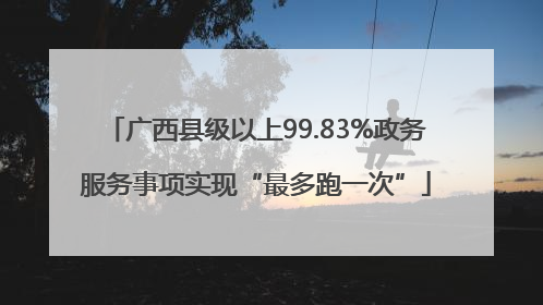 广西县级以上99.83%政务服务事项实现“最多跑一次”