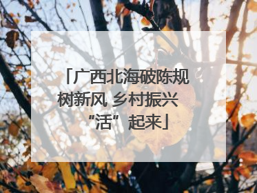 广西北海破陈规树新风 乡村振兴“活”起来