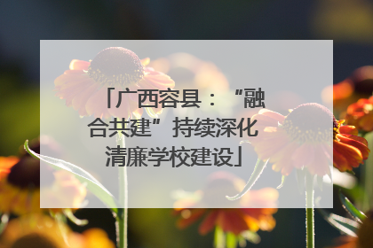 广西容县：“融合共建”持续深化清廉学校建设