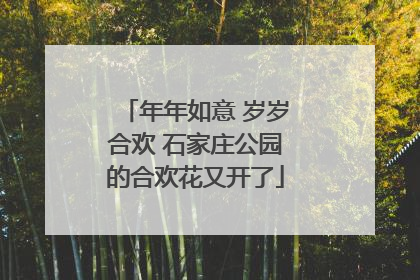 年年如意 岁岁合欢 石家庄公园的合欢花又开了