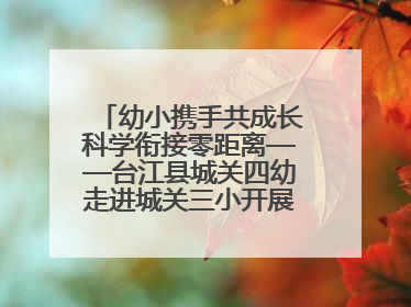幼小携手共成长科学衔接零距离——台江县城关四幼走进城关三小开展幼小衔接活动