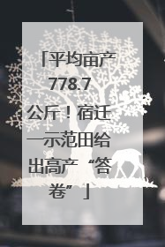 平均亩产778.7公斤！宿迁一示范田给出高产“答卷”