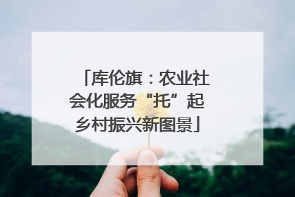 库伦旗：农业社会化服务“托”起乡村振兴新图景