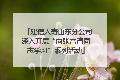 建信人寿山东分公司深入开展“向张富清同志学习”系列活动